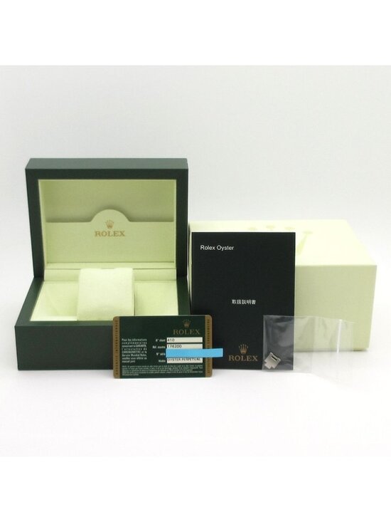 Rolex Watch Oyster Perpetual SS 11 Frames 1 Remaining Frame Roulette Dial Satin main image 8